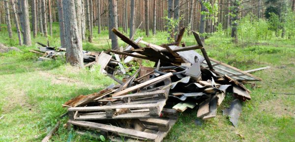Debris Removal Service in North Charleston