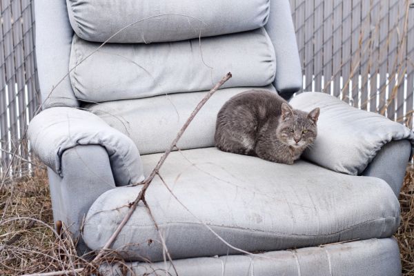 Recliner Disposal in North Charleston