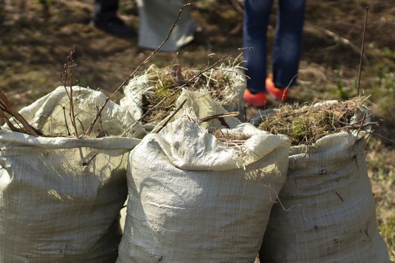 Rug Disposal Service